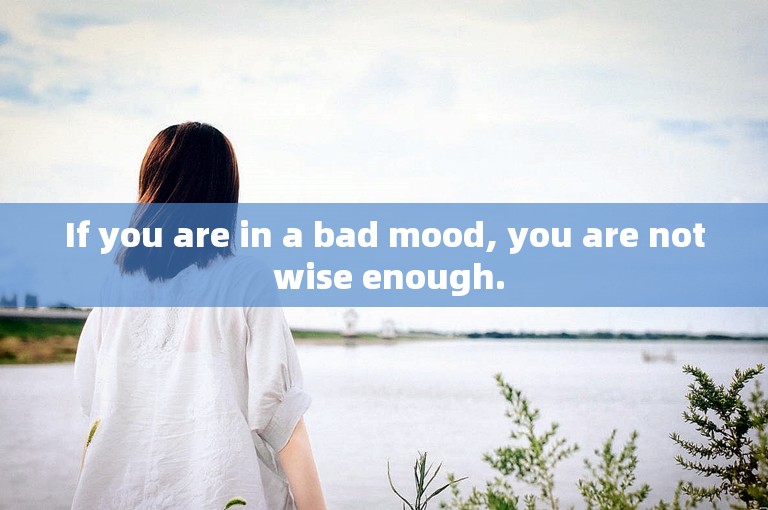 If you are in a bad mood, you are not wise enough.