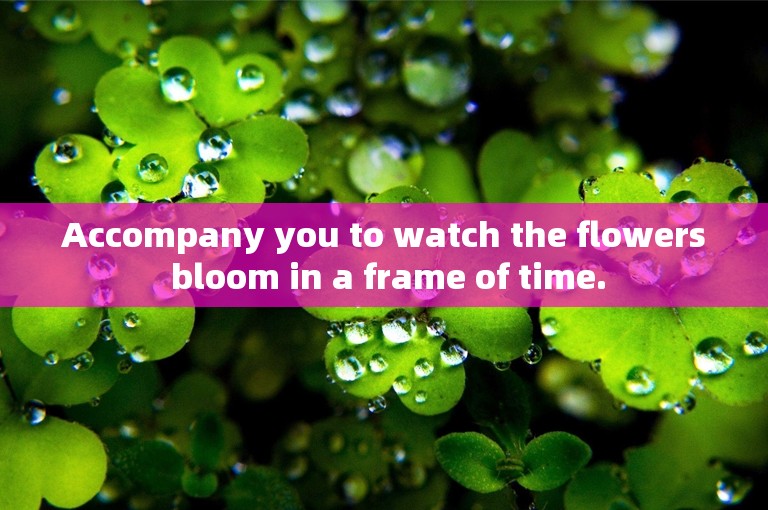 Accompany you to watch the flowers bloom in a frame of time.