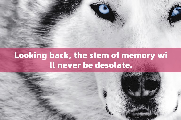 Looking back, the stem of memory will never be desolate.