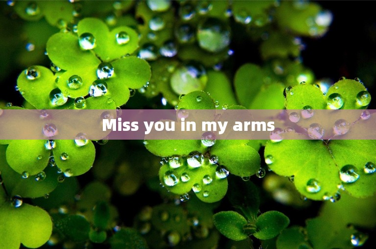 Miss you in my arms