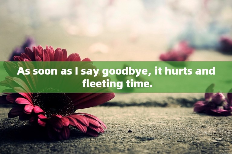 As soon as I say goodbye, it hurts and fleeting time.