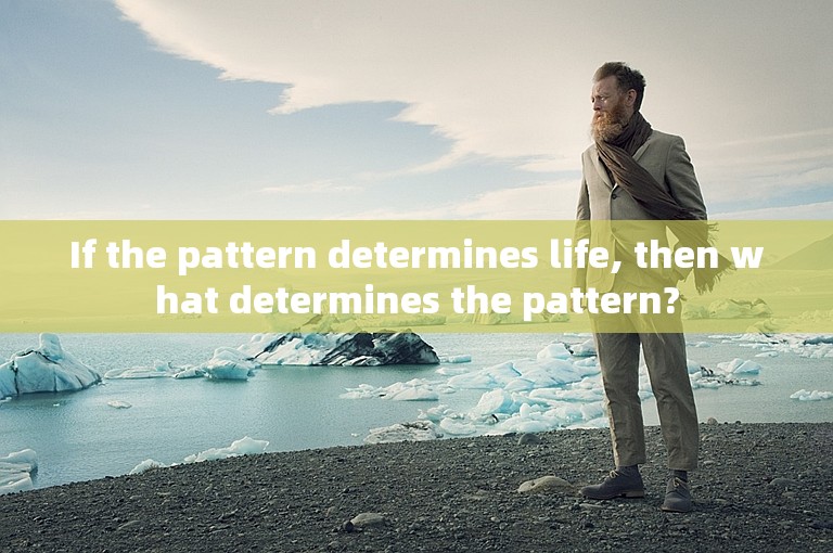 If the pattern determines life, then what determines the pattern?
