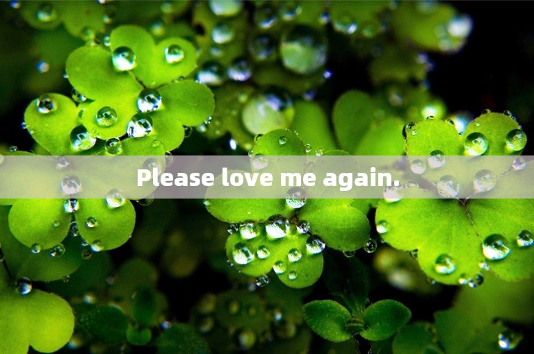 Please love me again.
