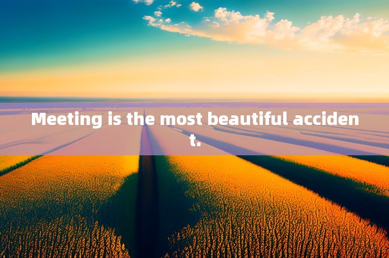 Meeting is the most beautiful accident.