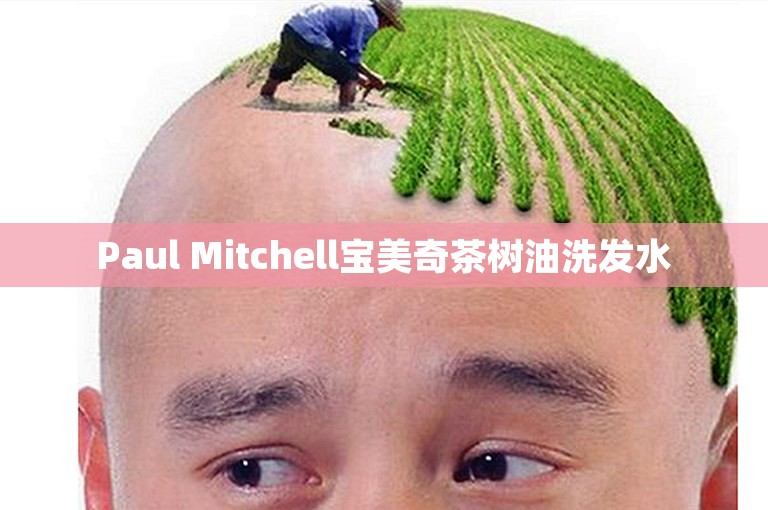 Paul Mitchell宝美奇茶树油洗发水