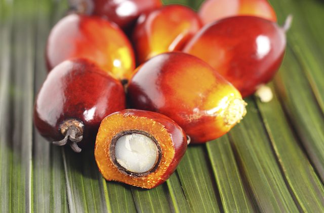 【组图】棕榈油对头发和皮肤有什么好处？