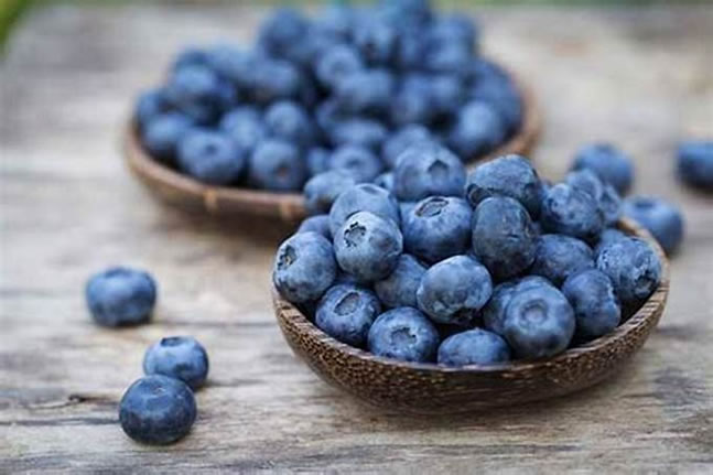 【组图】蓝莓对健康和美容的好处