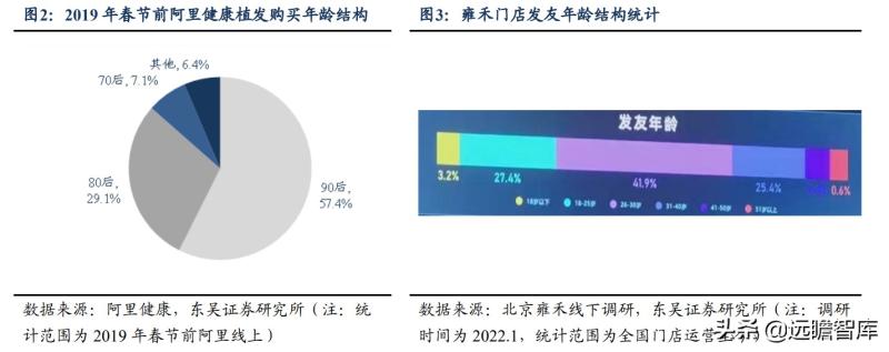 植发行业天花板何在？代际轮动角度下的渗透率和意愿率的深度探究