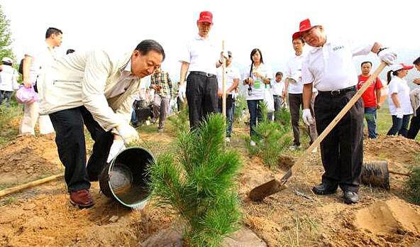 植发“如植树”，春季正当行