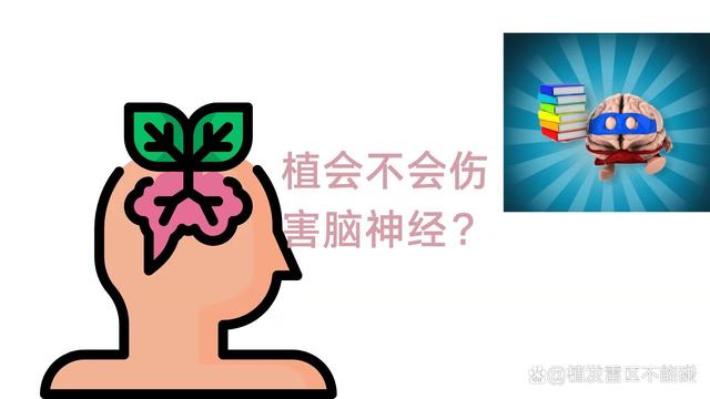 植发前先了解清楚这20个问题，不吃亏